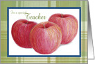 Thank You for a Special Teacher, Apples and Plaid Design card