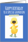 Happy Birthday to a Special Grandson, Yellow Duckling, Blue Background card