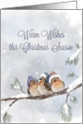 Warm Wishes this Christmas Season Birds in Snow, Coronavirus card