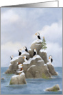 Coastal Christmas Puffins with Santa Gull card