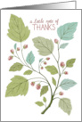 A Little Note of Thanks with Berries and Leaves card