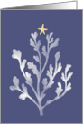 Navy Christmas Graphic Design with Coral Plant and Gold Starfish card
