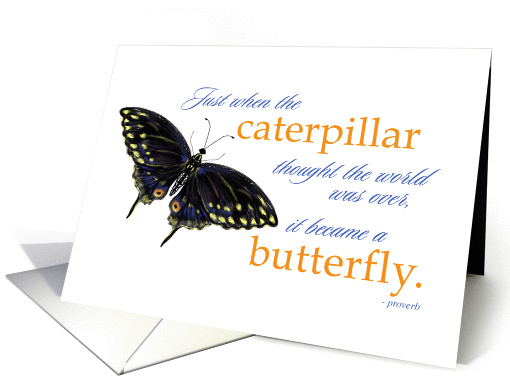 Inspirational Saying & Butterfly Greeting Card Encouragement card