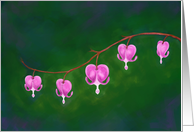 Romantic - I LOVE You, Bleeding Heart Flower card