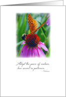 Bee and Butterfly on Coneflower, Inspirational Photography card