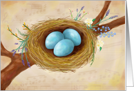 Bird Nest with Spring Flowers, Blank inside card