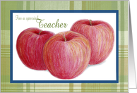 Thank You for a Special Teacher, Apples and Plaid Design card