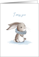 I miss you rabbit,...