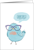 Gracias! Thank You...