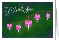 Get Well Soon, Bleeding Heart Flowers, Florals, Blank Inside card