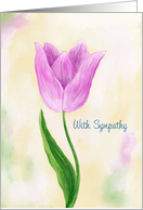 With Sympathy, Condolence with Pink Tulip Flower, Heartfelt card