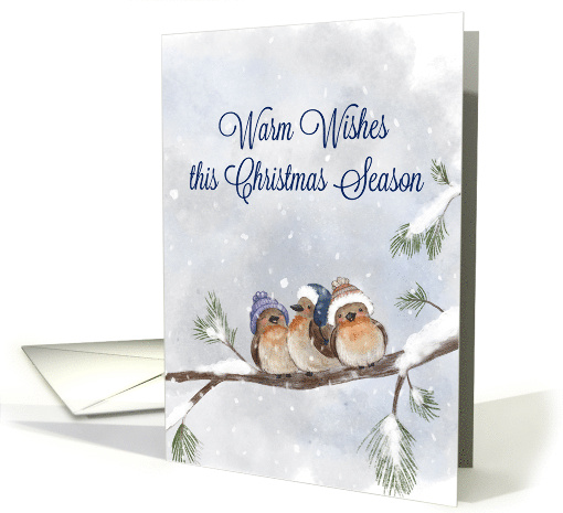 Warm Wishes this Christmas Season Birds in Snow, Coronavirus card
