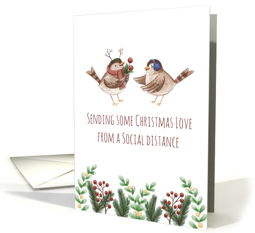 Christmas Love from a Social Distance, Birds, Coronavirus card