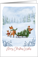 Merry Christmas Wishes with Foxes in Winter Forrest card