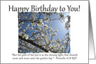 Happy Birthday Tree Blossoms - Christian card