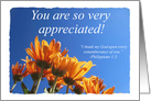 You Are Appreciated - Orange Flowers card