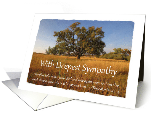 With Deepest Sympathy - Believe Jesus card (1351332)