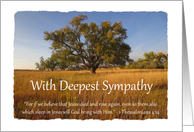With Deepest Sympathy - Believe Jesus card