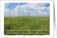 Thank You Grass/Sky