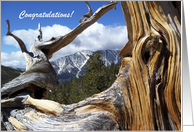 Wedding Congratulations Hiking Mt. Charleston card