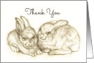 Two Bunnies Thank You Card