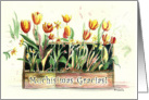 Tulips in a Rustic Wooden Box, Muchsimas Gracias, Espaol (Spanish) card