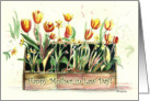 Tulips in a Rustic Wooden Box, Happy Mother-in-Law Day Card