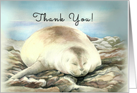 Snoozy, Thank You! Blank Note Cards