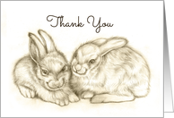 Two Bunnies Thank You Card