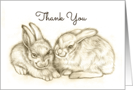 Two Bunnies Thank...