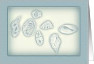 Sea Blue Scattered Shells Blank All Occasion Blank Note Card
