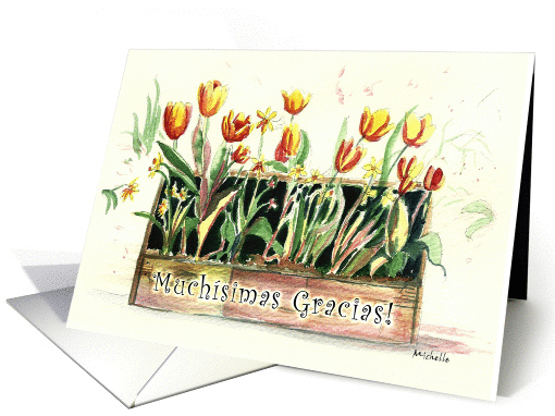 Tulips in a Rustic Wooden Box, Muchsimas Gracias,... (1137760)