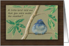 A Little Bird told me, Get Well Soon card