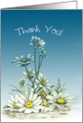 Thank You Daisies Blank Note Cards