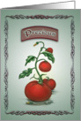 Precious Vintage Tomato Seeds, Birthday for Wife card
