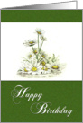 Happy Birthday Spring Daisies on Mossy Green for Anyone card