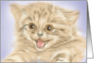 Happy Smiling Kitten Thank You card