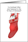 Confused Mouse in Stocking 12 Days of Christmas Card