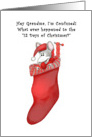 Confused Mouse in Stocking 12 Days of Christmas for Grandma Card