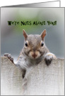 We’re Nuts About You Squirrel Birthday Card