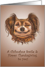 A Chihuahua Smile & Happy Thanksgiving to you! card