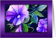 Morning Glory Blank Note Cards