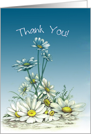 Thank You Daisies Blank Note Cards