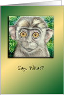 Monkey in the Jungle Asks-Say, What? Academic Achievement Card