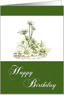 Happy Birthday Spring Daisies on Mossy Green for Anyone card