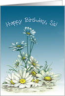 Daisies for Sis, Happy Birthday Card