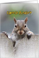 Cheese Please? Squirrel Coming Home Welcome Card