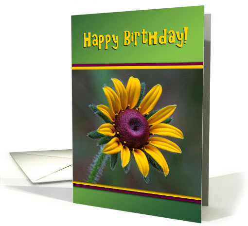 Happy Birthday, Yellow and Purple Gazania Flower card (1122714)