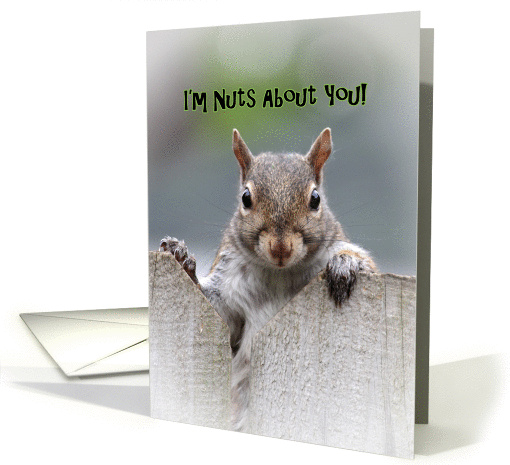 Squirrel Says I'm Nuts About You card (1154196)