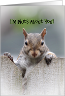 Squirrel Says I’m Nuts About You Card